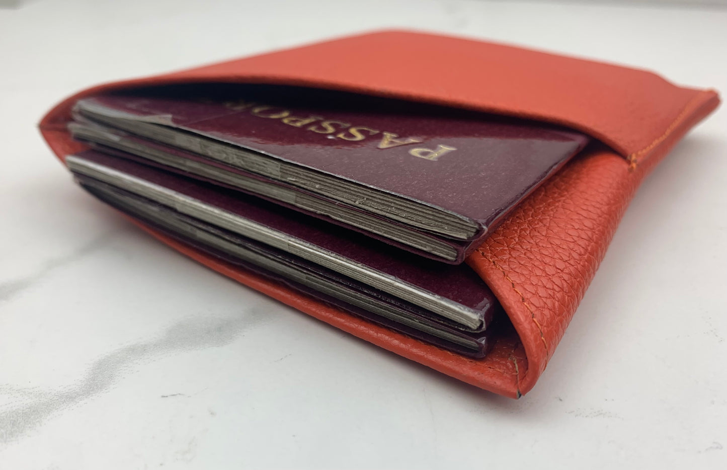 Family Passport Case