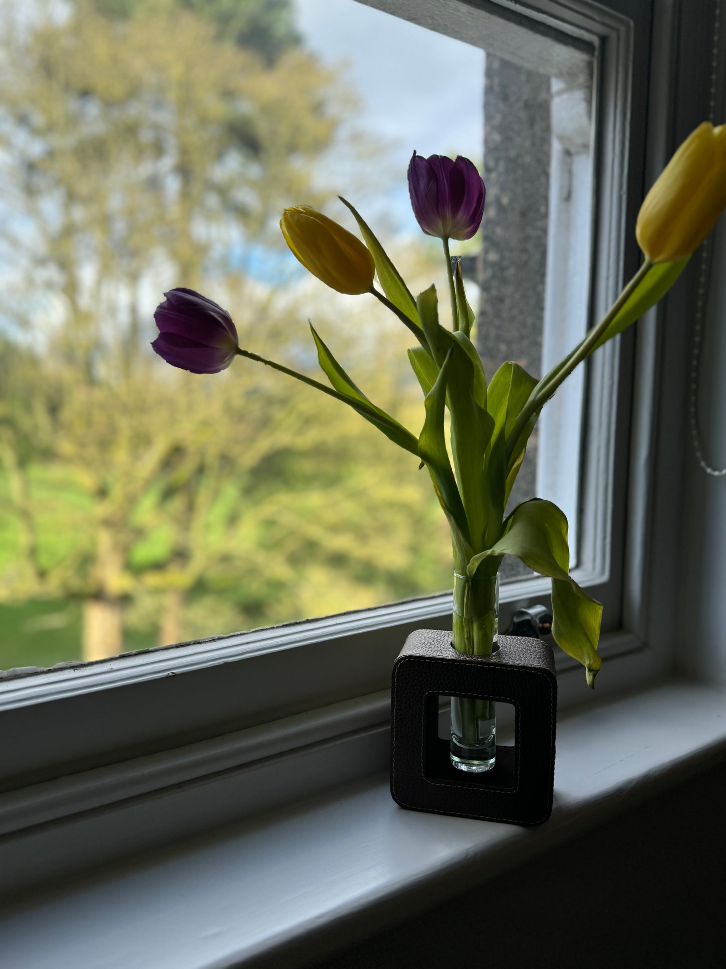 Vase Holder