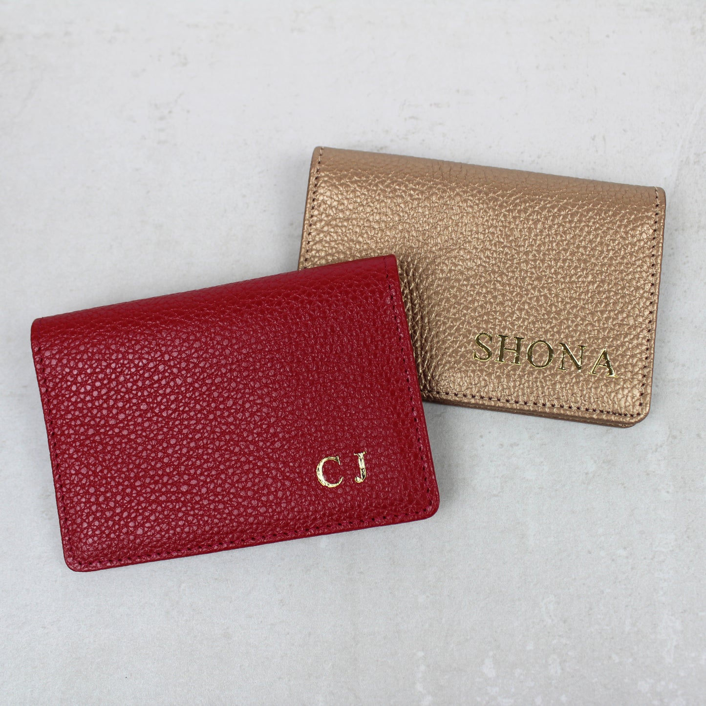 Travel Card Holder