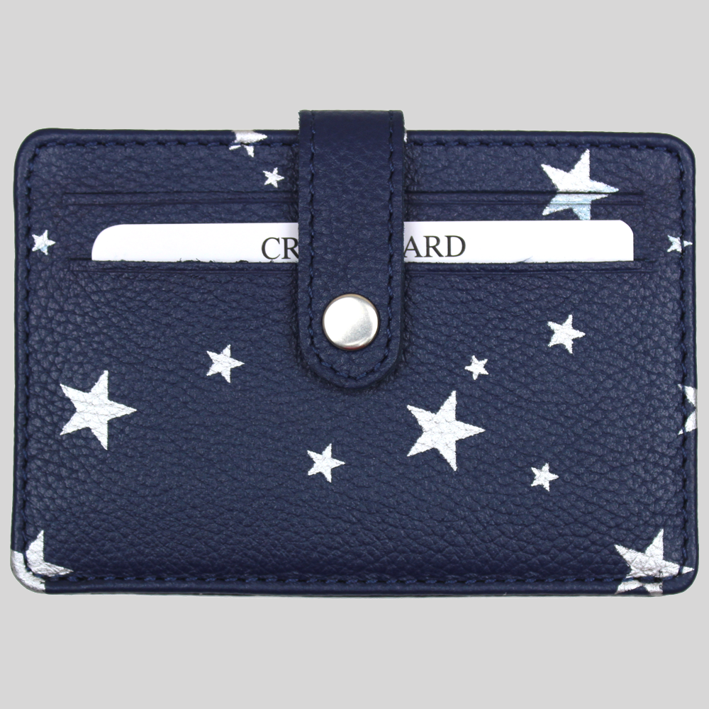 Navy/ Silver