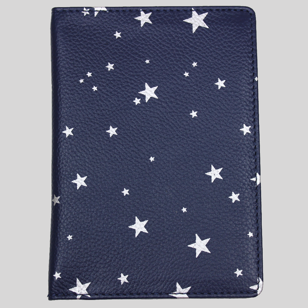 Navy/ Silver