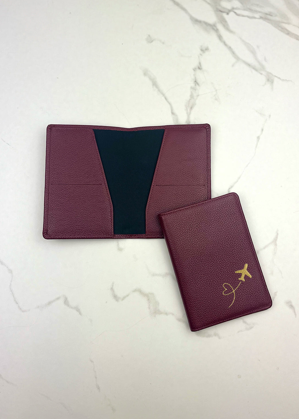 Plane Passport Case