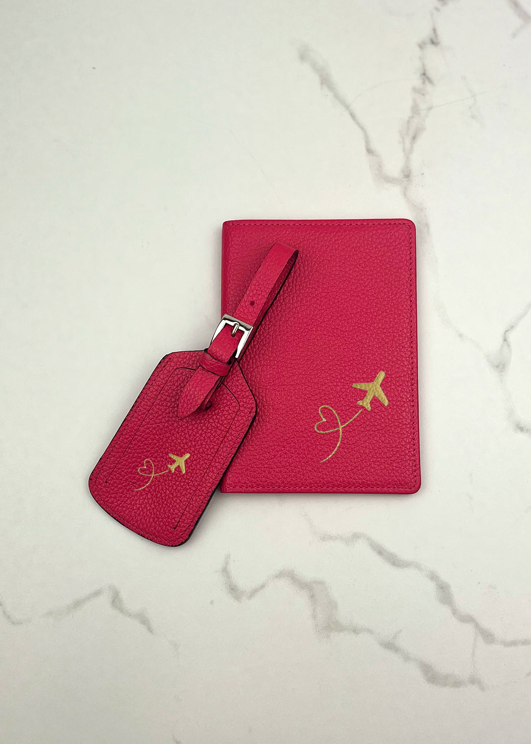 Plane Passport Case and Luggage Tag Set