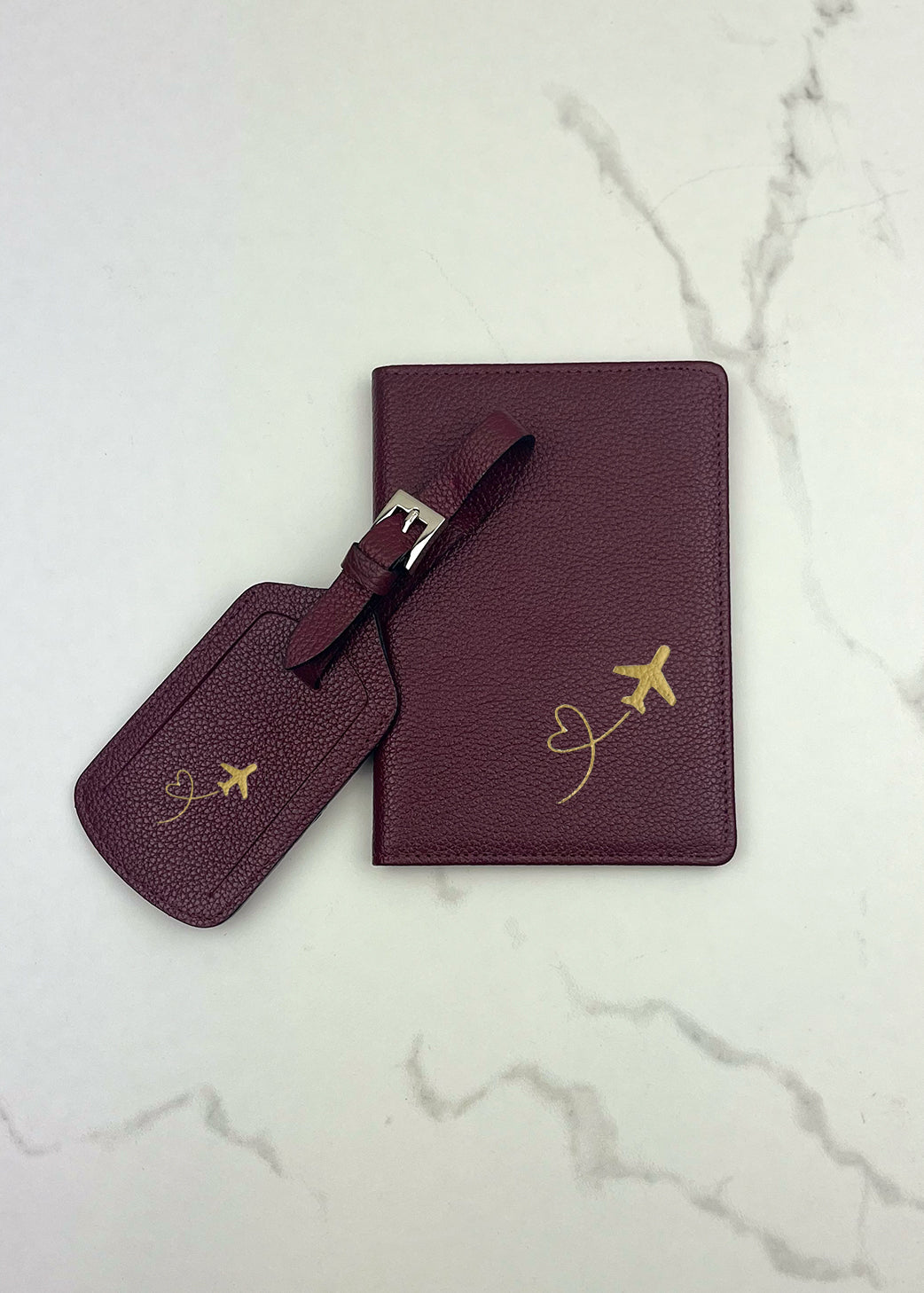 Plane Passport Case and Luggage Tag Set