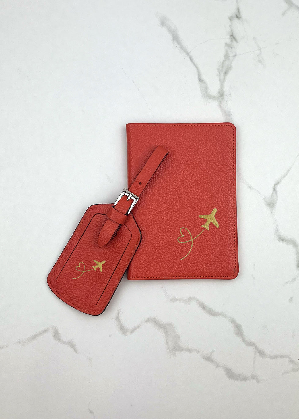 Plane Passport Case and Luggage Tag Set